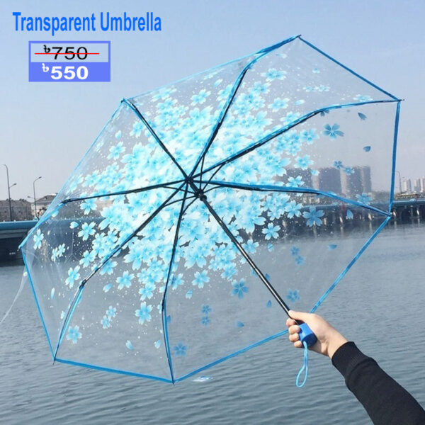 Transparent Umbrella